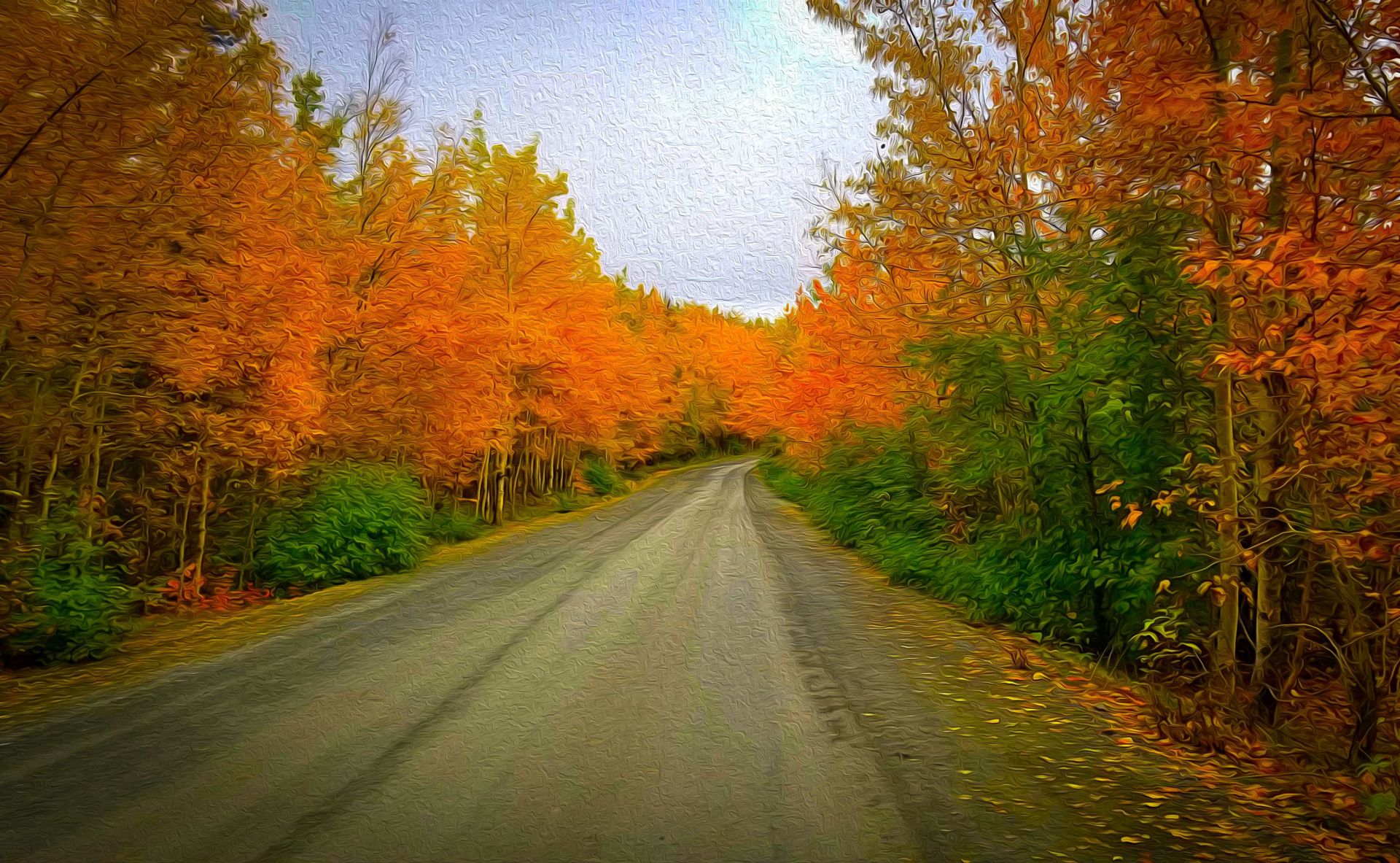 Fall Colors Road Oil